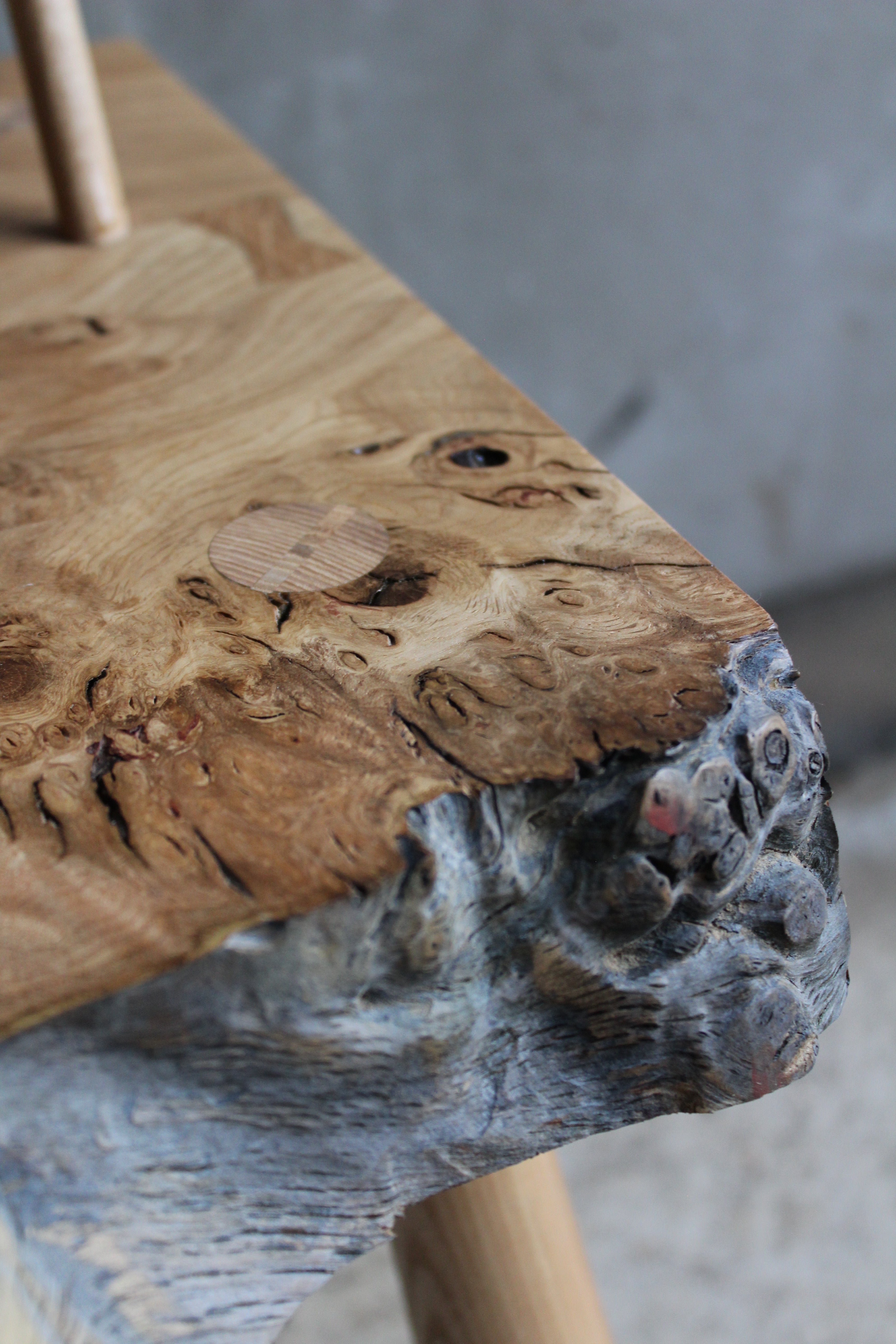 Burr Oak and Ash Bench
